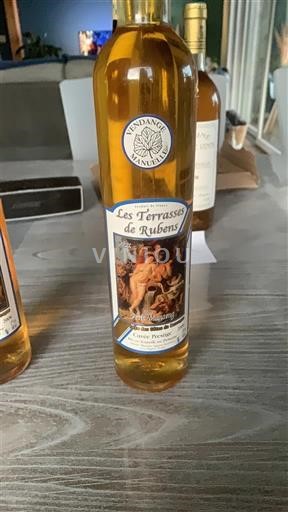 Jugozahod Côtes de Gascogne Les Terrasses de Rubens 2006