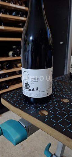 Údolí Loiry Anjou Domaine Des 2 moulins Terre de Schiste 2024