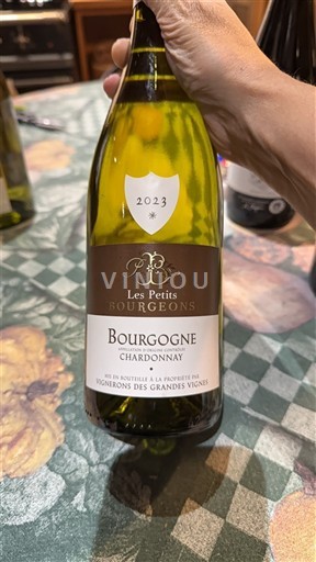 Bourgondië Bourgogne Vignerons des Grandes Vignes Les Petits Bourgeons 2023