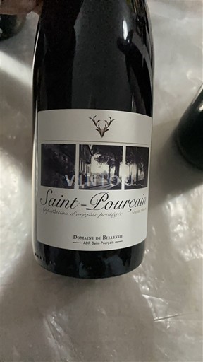 Rượu vang Rouge sec Domaine Bellevue 2020 Pháp Thung lũng sông Loire Saint-Pourçain AOC