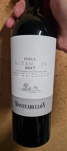 Castilien og León Ribera del Duero Monteabellón Finca Matambres 2017