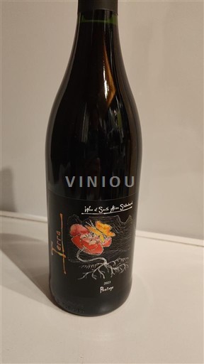 Rannikkoalue Stellenbosch Stellenrust Wines Terra 2023