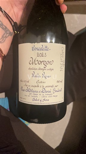Beaujolais Morgon Mélanie et Daniel Bouland Corcellete Vieilles Vignes 2023