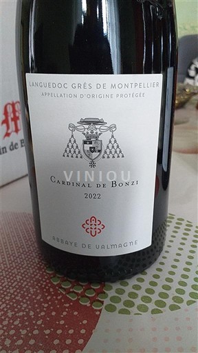 Langvedok Grès de Montpellier Abbaye de Valmagne Cardinal de Bonzi 2022