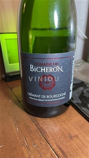 Burgundi Crémant de Bourgogne Domaine Bicheron 2024