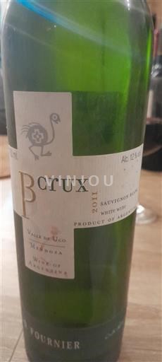 Mendoza Valle de Uco Fournier B Crux 2011