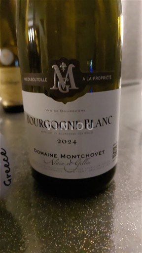 Bourgogne Ospecificerad Domaine Montchovet 2024