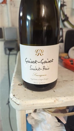 Borgogna Saint-Bris Grivot-Goisot 2023