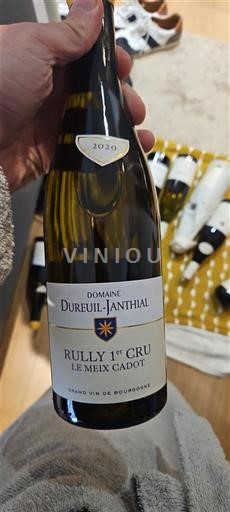 Bourgogne Ikke specificeret Premier Cru Domaine Dureuil-Janthial Le Meix Cadot 2020