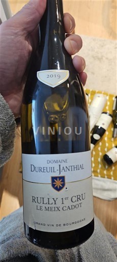 Bourgogne Ikke specificeret Premier Cru Domaine Dureuil-Janthial Le Meix Cadot 2019