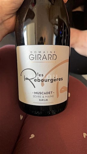 Loire-dalen Muscadet-Sèvre-et-Maine Domaine Girard Les Rebourgères 2020