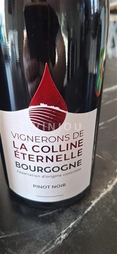 Borgogna Vignerons de la Colline Éternelle Pinot Noir Senza annata