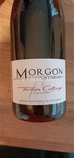 Beaujolais Morgon Thomas Collonge Les Charmes 2021