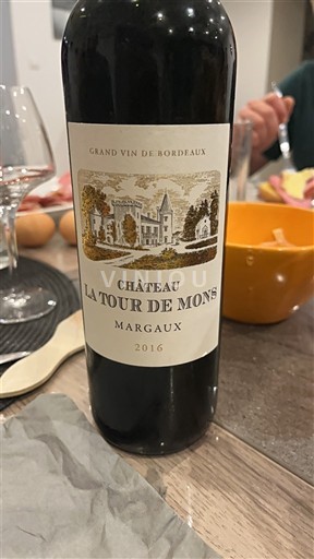 Bordeaux Margaux Château La Tour de Mons 2016