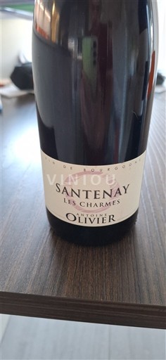 Burgundy Santenay Antoine Olivier Les Charmes Non-Vintage