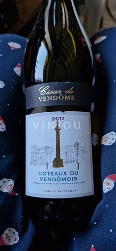 Vallée de la Loire Coteaux-du-vendômois César de Vendôme 2017