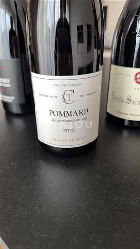 Borgoña Pommard Charles Thibaut 2023
