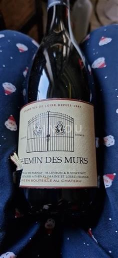 Loiren laakso Saumur Château Parnay Chemin des Murs Ei vuosikertaa