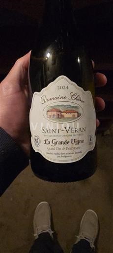 Burgundi Saint-Véran Domaine Chêne La Grande Vigne 2024