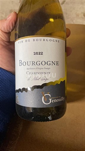 Burgundy Domaine Genouilly 2022