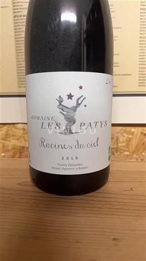 Sydväst Cahors Domaine Les Patys Racines du ciel 2019