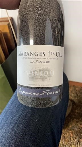 Bourgogne Premier Cru Capuano-Ferreri La Fussière 2023