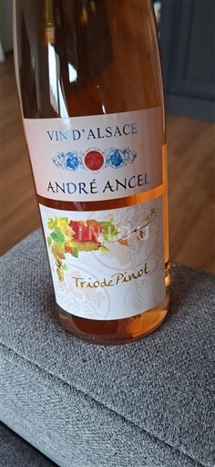 Alsacia André Ancel Trio de Pinot Sin añada