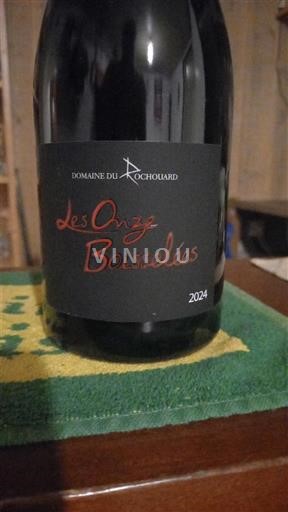 Vallée de la Loire Bourgueil Domaine Rochouard Les Onze Basselées 2024