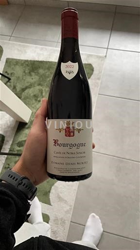 Burgundsko Domaine Denis Mortet de Noble Souche 2022