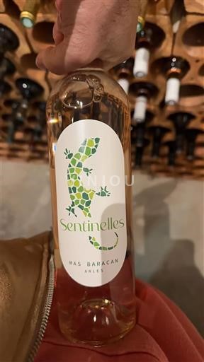 Alpy a Rhonské oblasti Alpilles Mas Baracan Sentinelles 2024