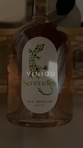 Provence, Nedre Rhône-dalen, Korsika Bouches-du-Rhône Mas Baracan Sentinelles Icke årgångsbetecknad