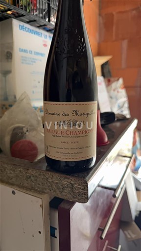 Loirevallei Saumur-champigny Domaine Des Marquettes Niet-geïntegreerd