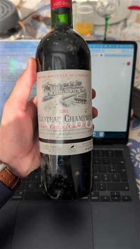 Bordeaux Saint-Émilion Grand Cru Grand Cru Château Champion 2001