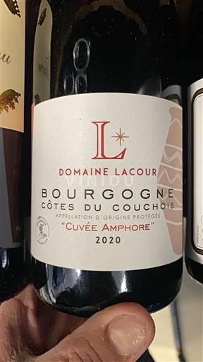 Borgonha Não especificado Domaine Lacour Amphore 2020