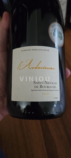 Loire-dalen Saint-Nicolas-De-Bourgueil Domaine Mabileau-Rezé L'Audacieux 2023