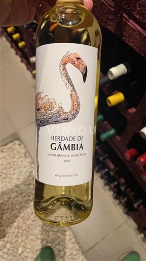 Setúbalin niemimaa Herdade de Gâmbia 2023