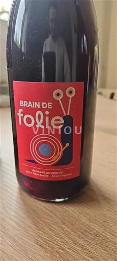Thung lũng sông Loire Saint-Nicolas-De-Bourgueil Les Vignes du Mortier Brain de Folie 2023