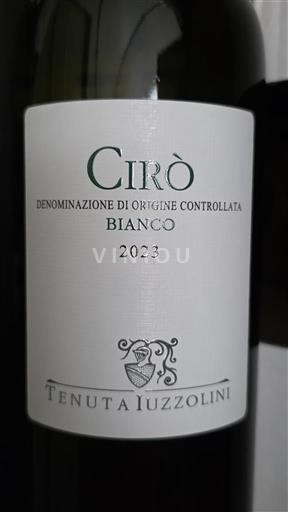 Calabrian Wines Cirò Tenuta Iuzzolini 2023