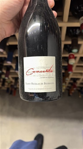 Loire-dalen Saint-Nicolas-De-Bourgueil Vignerons de la Rodaudière Concerto 2020