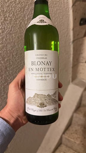 Vaud Lavaux ZGP Albert Mayor et fils Blonay en Mottex 1997