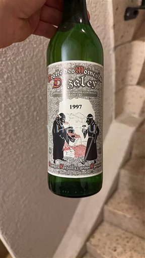 Vaud Lavaux ZGP Grotte des Moines (Georges Fonjallaz) Grotte des Moines Dézaley 1997