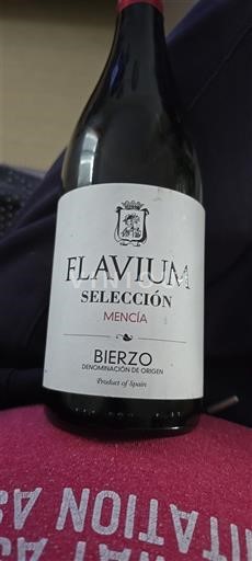 Castilië en León Bierzo Flavium Selección Mencía 2014