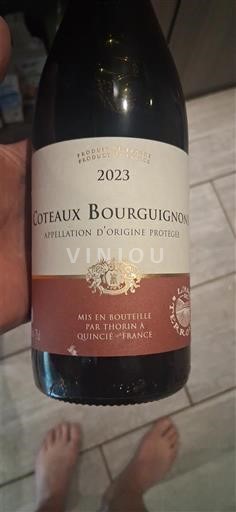 Burgund Burgunderhänge Thorin 2023