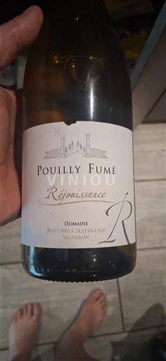 Valle del Loira Pouilly-fumé Domaine Bouchié-Chatellier Réjouissance 2023