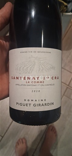 Bourgondië Niet gespecificeerd Premier Cru Domaine Piguet Girardin La Comme 2020