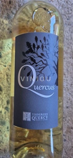 Südwestfrankreich Coteaux-du-Quercy Vignerons du Quercy Quercus 2019