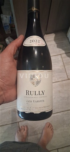 Borgoña Rully Domaine Belleville Les Varots 2022