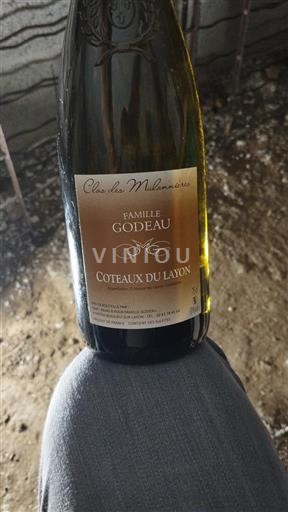 Loirevallei Coteaux du Layon Famille Godeau Clos les Mulonnière Niet-geïntegreerd