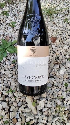 Piemonte Barbera d'Asti Maccario LavigNone 2024