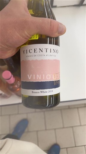 Wines Blanc sec Vicentino 2018 Portugal Alentejo IGP